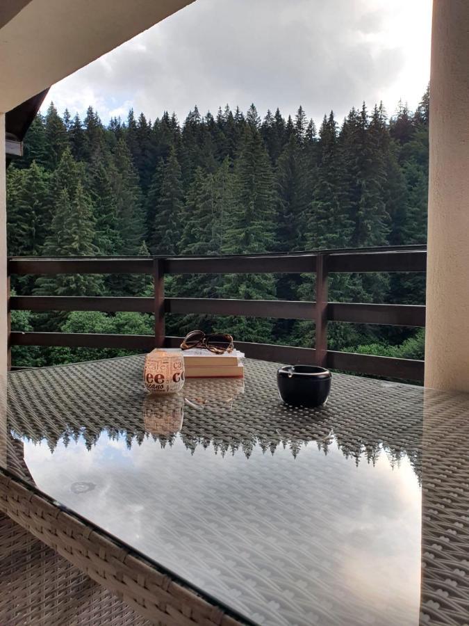 Apartament Ozon Poiana Brasov Eksteriør bilde