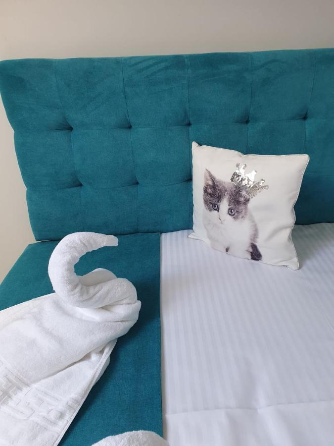 Apartament Ozon Poiana Brasov Eksteriør bilde