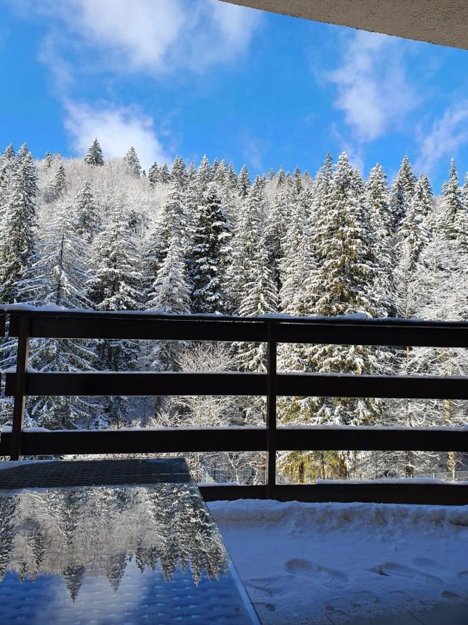 Apartament Ozon Poiana Brasov Eksteriør bilde
