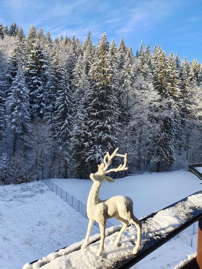 Apartament Ozon Poiana Brasov Eksteriør bilde